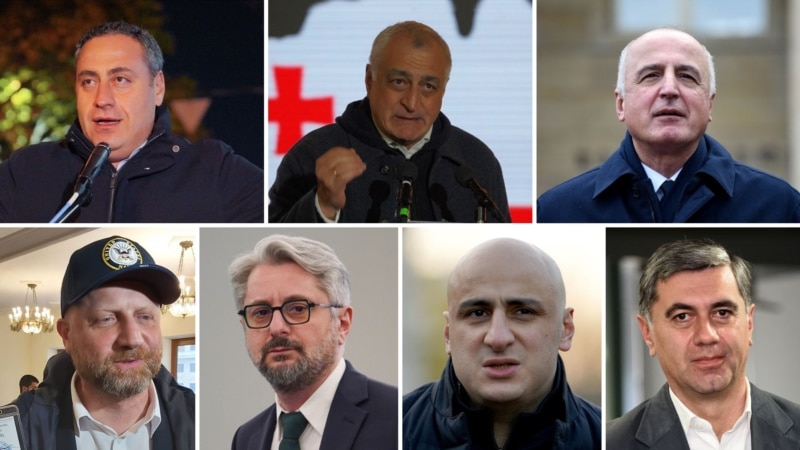 ოპოზიციის ლიდერების პოლიტიკური დევნა ავტორიტარული ტაქტიკაა - ევროკომისიის სპიკერი საქართველოზე
