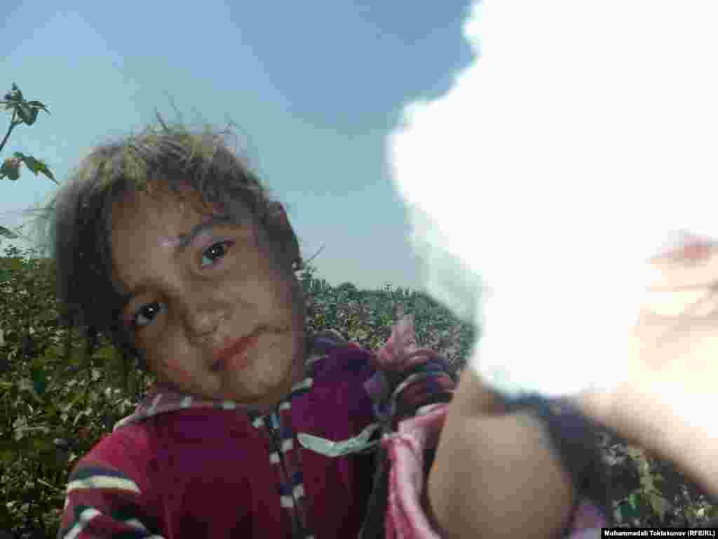 A child picks cotton in Osh, southern Kyrgyzstan. Children in Uzbekistan and Kyrgyzstan are frequently sent to the fields to pick cotton by hand. 