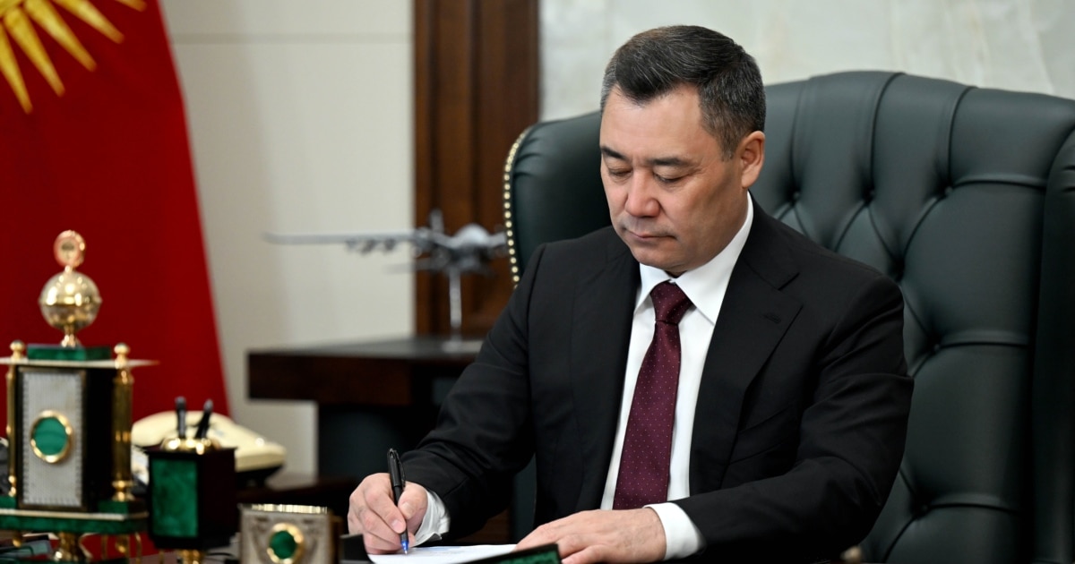 Birodar singlisining mushukiga kirdi