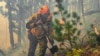 Лесные пожары в Красноярском крае России