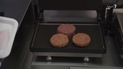 تولید خوراک‌ گیاهی با طعم نزدیک به گوشت!