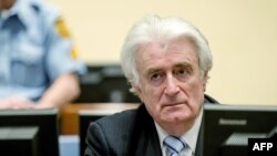 Radovan Karadžić, 2016.