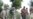 Mounting Violence Threatens Vital Pakistan/Afghanistan Link