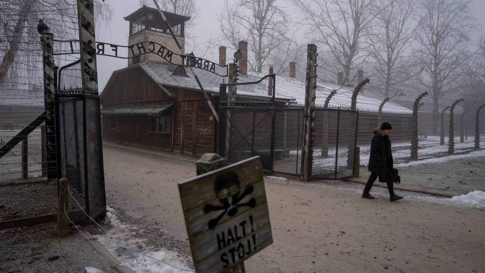 Germania nazistă a ucis aproximativ 1,1 milioane de bărbați, femei și copii la Auschwitz, în Polonia, între 1940 și 1945.