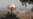 Israel Masses Forces On Lebanon Border