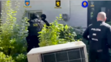 Akcija hapšenja osumnjičenih za učešće u trening kampovima u Srbiji (Zvanični video moldavske policije)