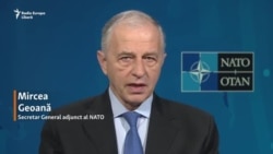 Mircea Geoană, numărul 2 în NATO: „Nu există o falie în Alianța Nord Atlantică”