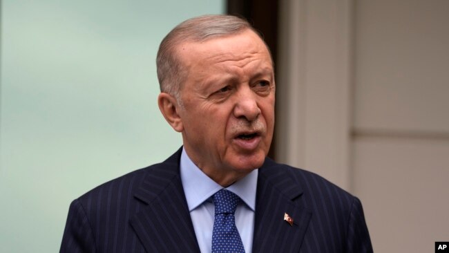 د ترکیې د ولسمشر رجب طیب اردوغان