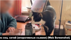 Игорь Зайцев подписывает протоколы об обыске