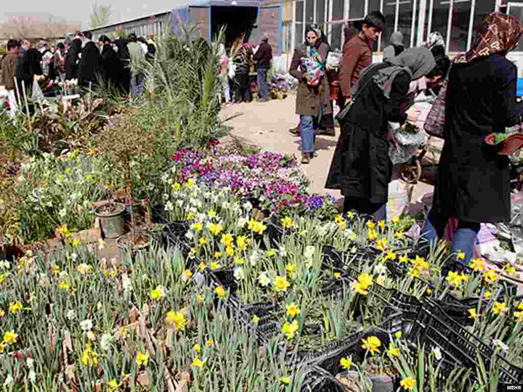 بازار گل، تهران. عکس از مهر