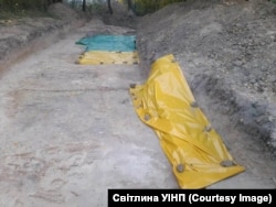 У селі Ласків (Польща) українська експедиціявиявила близько 30 останків українських жертв Другої світової війни