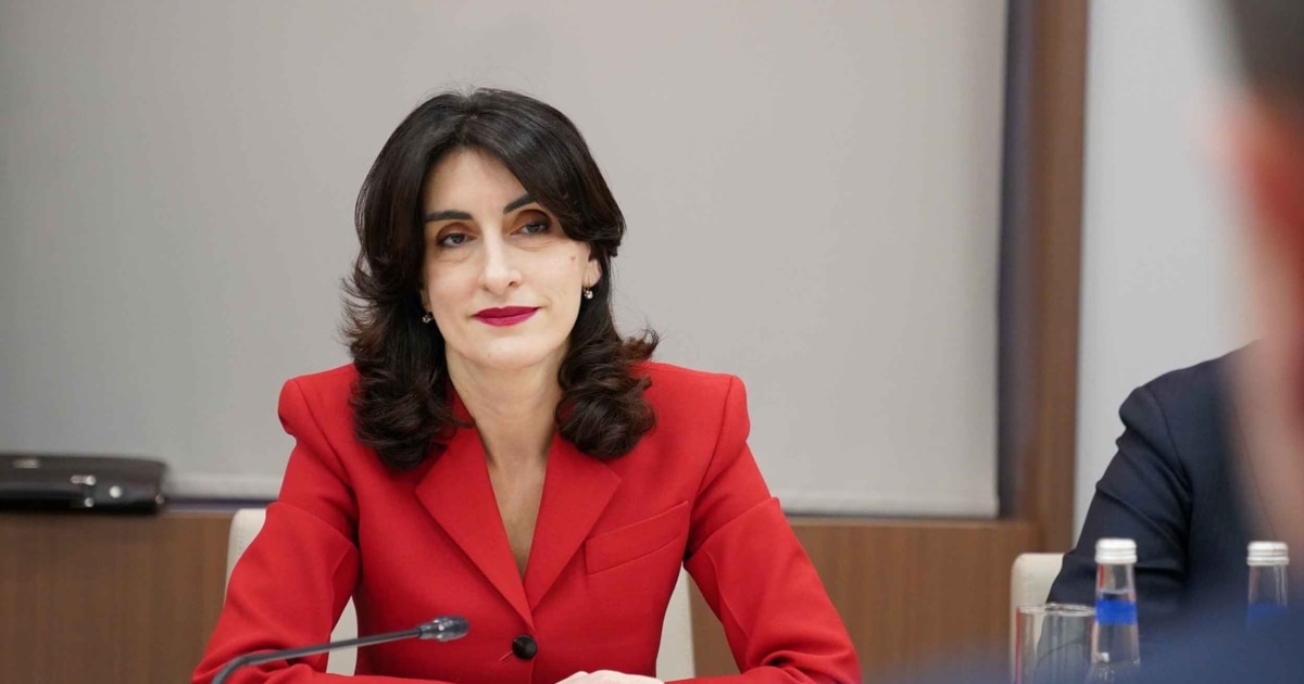 მაკა ბოჭორიშვილი: 3+3-ის ფორმატში მონაწილეობას არ განვიხილავთ
