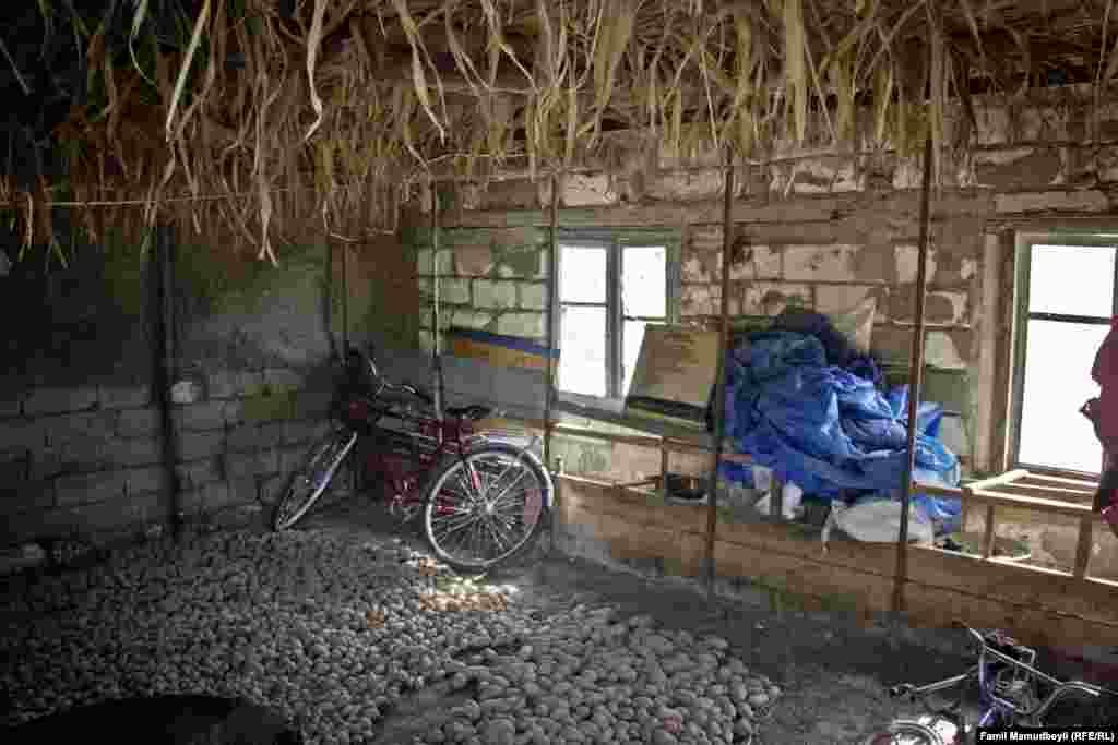 Bağırovların qış tədarükü. Bir tərəfdən güllədən ehtiyatlanmaq, o biri tərəfdən qışa ehtiyat görmək. Onların həyatı beləcə keçir...