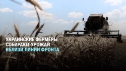 "Может это последний год, когда мы собираем урожай": украинские фермеры работают, несмотря на наступление России