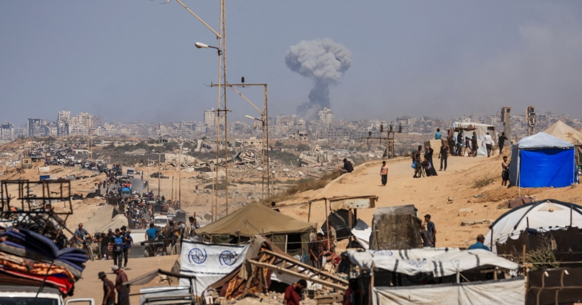 Порно актерлер Қызыл телпек