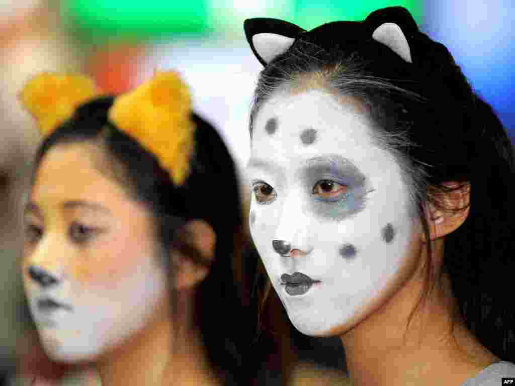 В Сеуле прошла демонстрация против использования мяса собак в корейской кухне