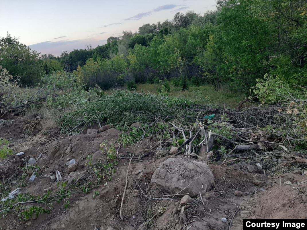 Әлемдегі ең үлкен адам мүшелері Ликая спермы өшіру пизду сағат