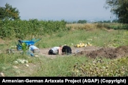 Members of the Armenian-German Artaxata project digging in the summer of 2019.