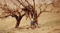 گفت‌وگو با تهیه‌کننده مستند «من سعی می‌کنم فراموش نکنم» ساخته پگاه آهنگرانی