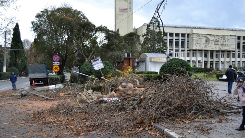 Вторые сутки борьбы со стихией: последствия урагана в Ялте (фотогалерея)