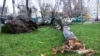 Последствия урагана в Симферополе, 29 ноября 2021 года