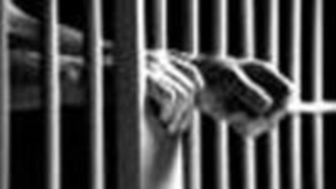 Спортшының порнофотосуреті Порно хайуанаттар