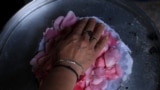 ALBANIA-TRADITION-TOURISM-ROSES-FOOD