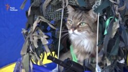 Майстер-клас із зав’язування хустки та «котячий спецназ» збирали гроші для бійців у Запоріжжі (відео)