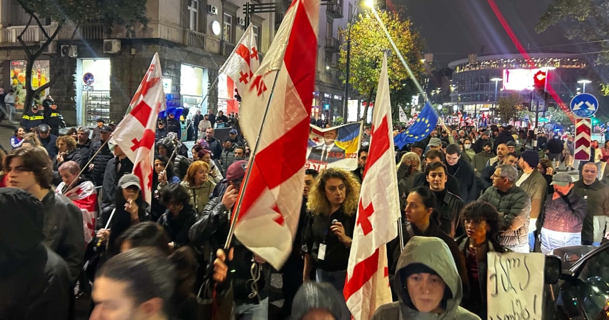 თბილისში ოპოზიციური პარტიების ორგანიზებით აქცია იმართება სლოგანით "საქართველო იმსახურებს უკეთესს"