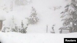 илустрација