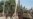 Afghans Want More Executions