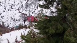 Наврӯзи Хоҷа Обигарм. Нишоне аз баҳор нест