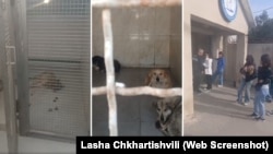 მერიამ განაცხადა, რომ „მოქალაქეთა ჯგუფი შენობაში თვითნებურად შეიჭრა“.