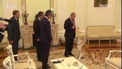 Владимир Путин и Курилы