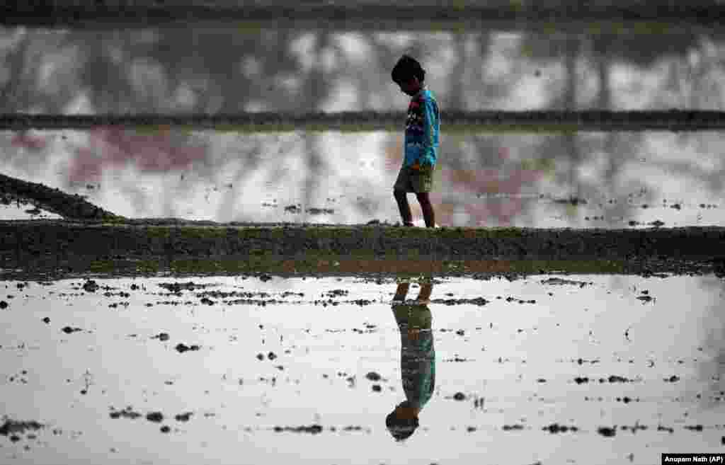 An Indian boy walks through a paddy field on the outskirts of Gauhati. (AP/Anupam Nath)