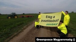 Hat év után a Kúria is Kishantosnak és a Greenpeace Magyarországnak adott igazat (Szerzői jogok: Greenpeace Magyarország)