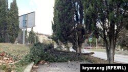 Последствия урагана в Севастополе, Крым, 1 декабря 2021 года