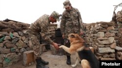 Armenia - Soldiers and a guard dog at an Armenian army post on the border with Azerbaijan, October 15, 2021.