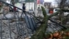 Упавшее из-за ураганного ветра дерево на улице в Симферополе, Крым, 30 ноября 2021 года