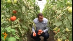 Moldoveanul care exportă legume în UE