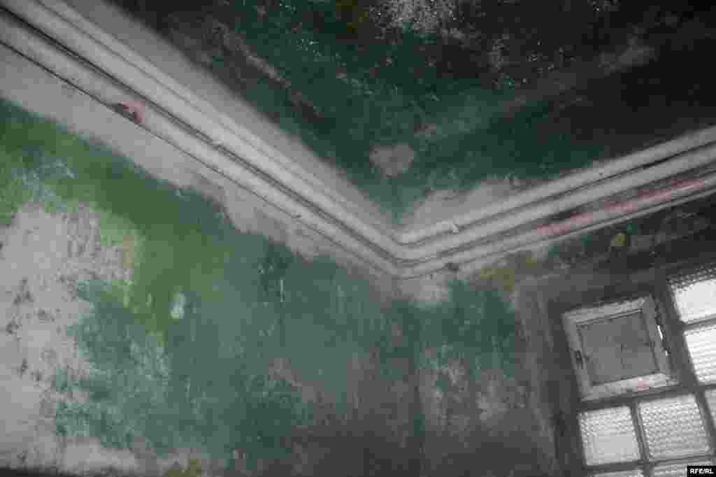 Hamam özü də kirlənir #16
