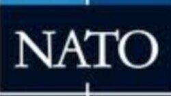 Amerikan ilçisi: NATO iň täsirli goranyş ýaranlygy