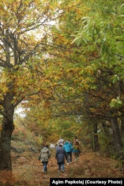 Turistë të huaj duke ecur "Shtegut të gështenjave".