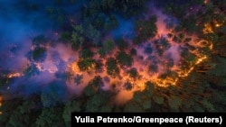 Лесные пожары в Красноярском крае, 2020 год