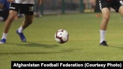 آرشیف، عکس جنبه تزئینی دارد.