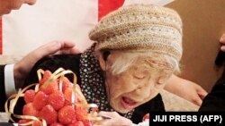 تصویری از خانم تاناکا در جشن تولد ۱۱۶ سالگی‌اش