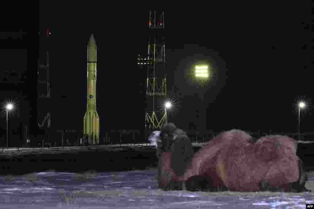 A camel lies nearby as a rocket blasts off at the Russian leased Baikonur cosmodrome in Kazakhstan. (AFP)