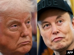 Дональд Трамп (слева) и Илон Маск. Комбинированное фото