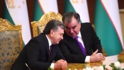 Созишномаи сафари бевиза ба Узбекистон барои тасдиқ ба порлумон рафт