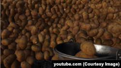 Скрыншот з праекту Potato Please